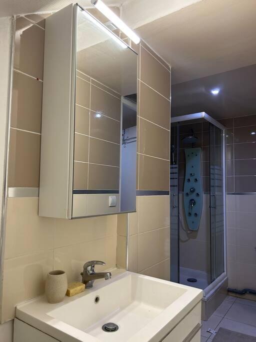 Cosy Studio - 10 Min Away From Cdg Aeroport - 30 Min Away From Paris - Parc Asterix - Olympic Games 2024 Le Thillay ภายนอก รูปภาพ